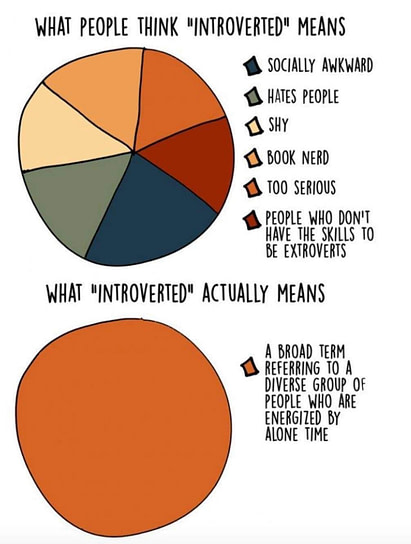 Introvert Myths Pie Chart IMG 2407
